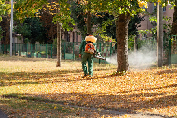 Best Best Pest Control Companies  in Calhoun Falls, SC